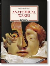 Anatomical waxes - Marta Poggesi
