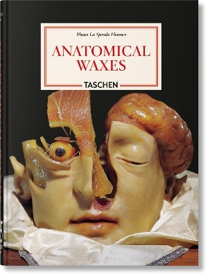 Anatomical waxes - Marta Poggesi