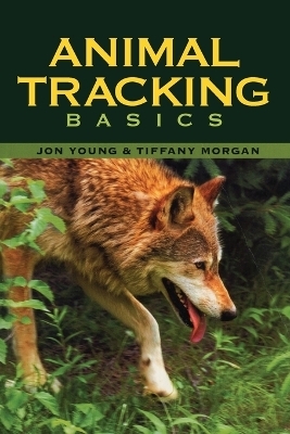 Animal Tracking Basics
