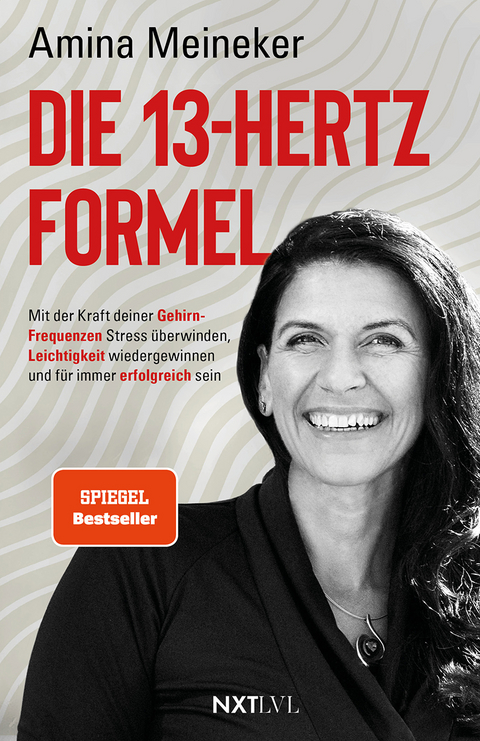 Die 13 Hertz Formel - Amina Meineker
