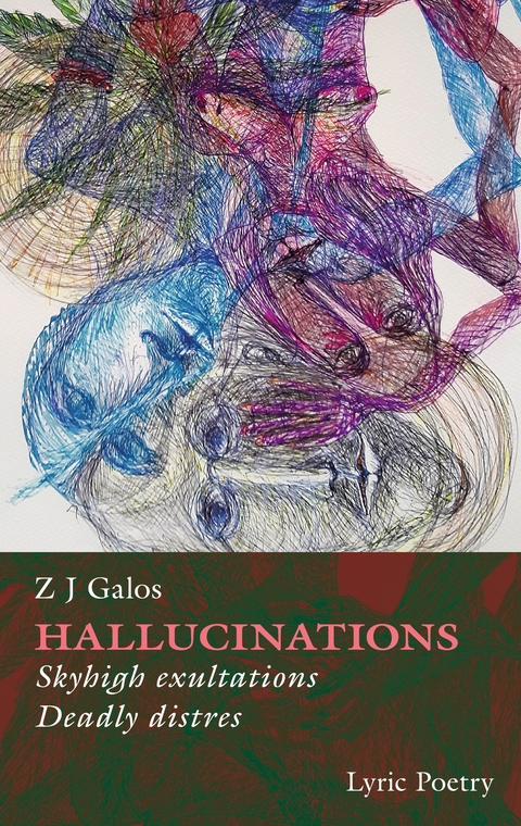 Hallucinations - Z J Galos