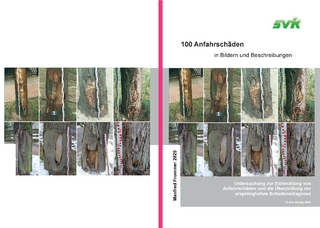 100 Anfahrschäden in Bild und Beschreibung