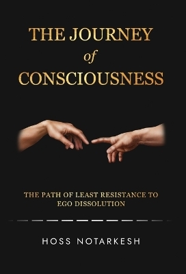 The Journey of Consciousness