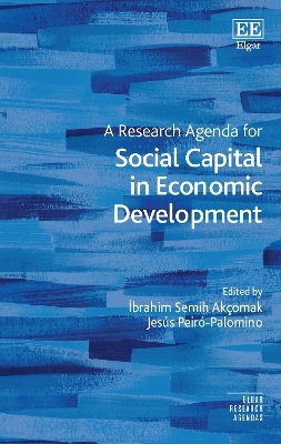 A Research Agenda for Social Capital in Economic Development