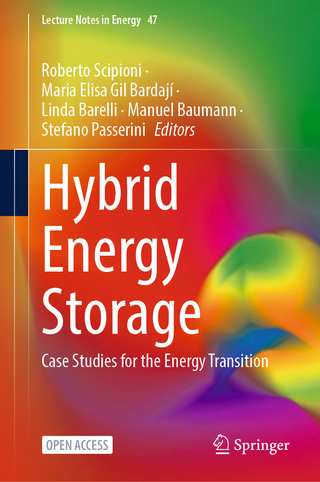 Hybrid Energy Storage