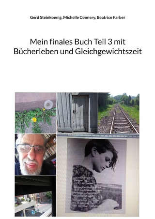 Mein finales Buch Teil 3 mit Bücherleben und Gleichgewichtszeit