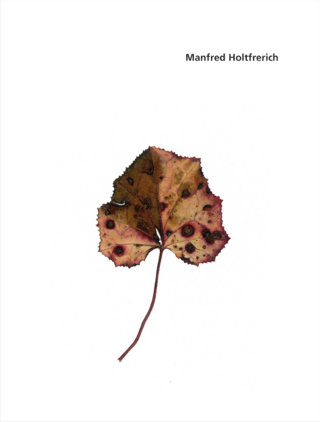 Manfred Holtfrerich. Blätter 237 - 342