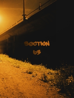 Section 63 -  Yushy