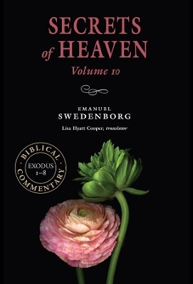 Secrets of Heaven Volume 10 - Emanuel Swedenborg