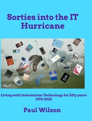 Sorties into the IT Hurricane (3rd edn) - Paul Wilson