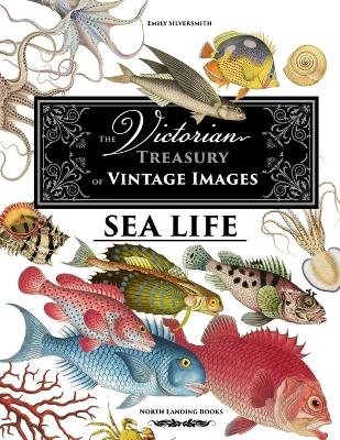 The Victorian Treasury of Vintage Images - Sea Life