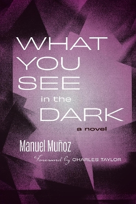 What You See in the Dark - Manuel Mu&ntilde;oz