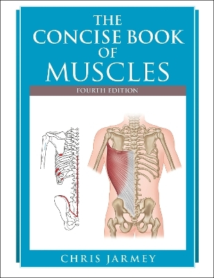 The Concise Book of Muscles