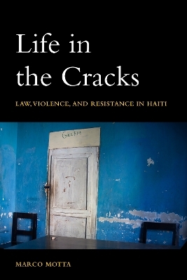 Life in the Cracks