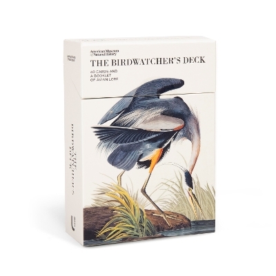 The Birdwatcher's Deck -  American Museum of Natural History