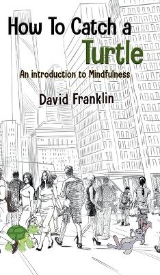 How to Catch a Turtle - David S Franklin