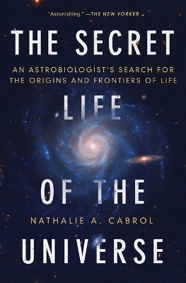 The Secret Life of the Universe