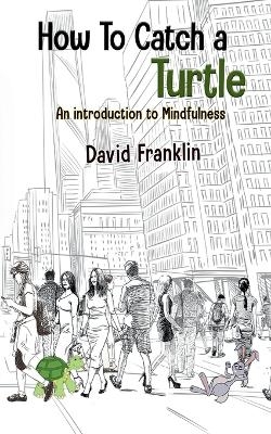 How to Catch a Turtle - David S Franklin