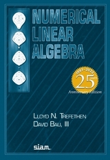 Numerical Linear Algebra - Trefethen, Lloyd N.; Bau, David