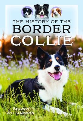 The History of the Border Collie - Shawn Williamson