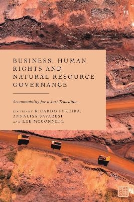 Business, Human Rights and Natural Resource Governance