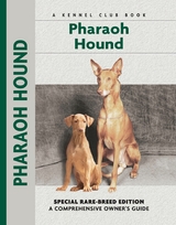 Pharaoh Hound - Juliette Cunliffe