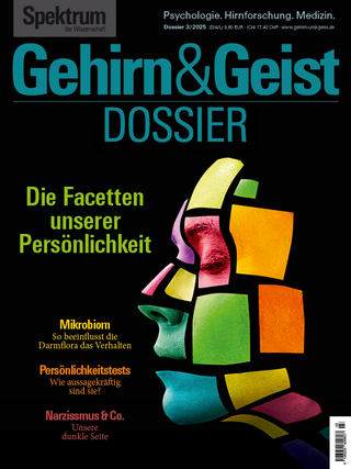 Gehirn&Geist Dossier 3/2025 Die Facetten unserer Persönlichkeit