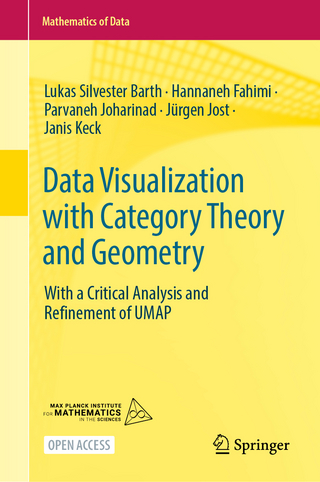 Data Visualization with Category Theory and Geometry