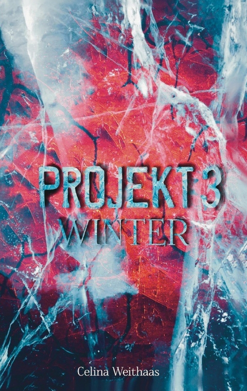 Winter - Projekt III - Celina Weithaas