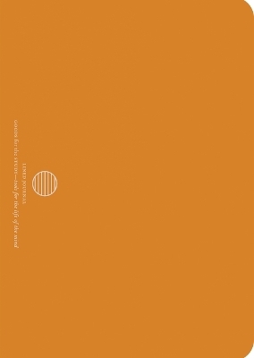 Turmeric B6 Flex Journal