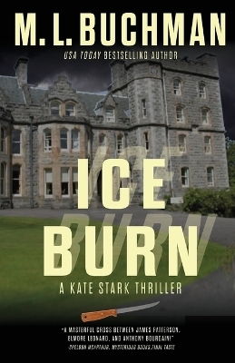 Ice Burn - M L Buchman