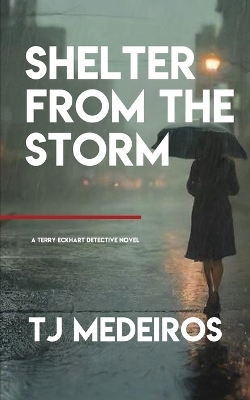 Shelter From The Storm - TJ Medeiros