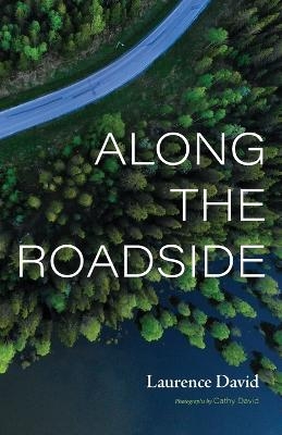 Along the Roadside - Laurence David