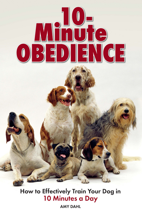 10 Minute Obedience - Amy Dahl