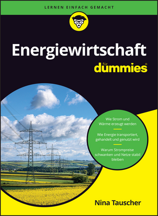 Energiewirtschaft für Dummies