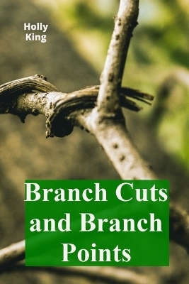 Branch Cuts and Branch Points