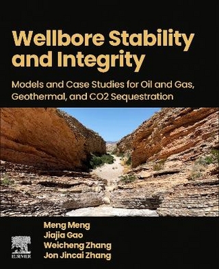 Wellbore Stability and Integrity