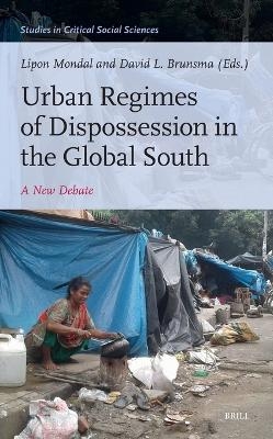 Urban Regimes of Dispossession in the Global South - 