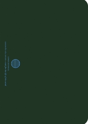 Pine B6 Hardcover Notebook - McNally Editions