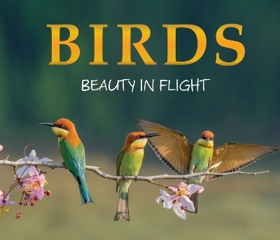 Birds -  Publications International Ltd