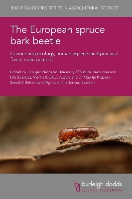 The European Spruce Bark Beetle