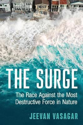 The Surge - Jeevan Vasagar