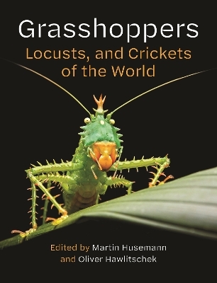 Grasshoppers, Locusts, and Crickets of the World - Martin Husemann, Oliver Hawlitschek