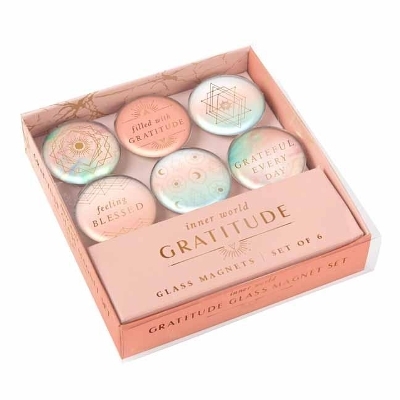 Gratitude: Glass Magnet Set (Set of 6) -  Insight Editions