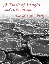 Flash of Insight and Other Poems -  David J. de Young