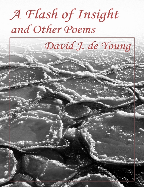 Flash of Insight and Other Poems -  David J. de Young