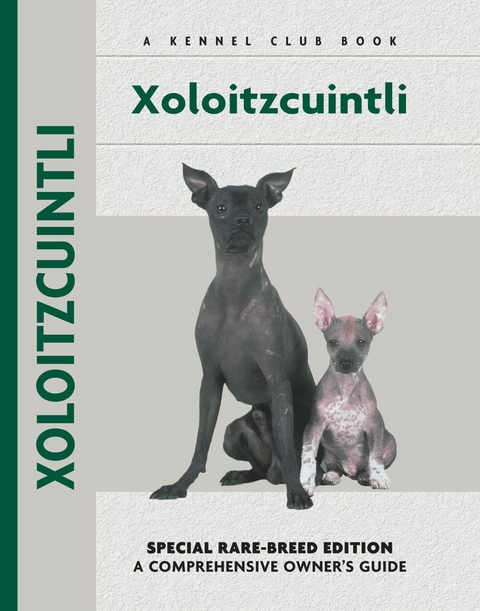 Xoloitzcuintli - Amy Fernandez