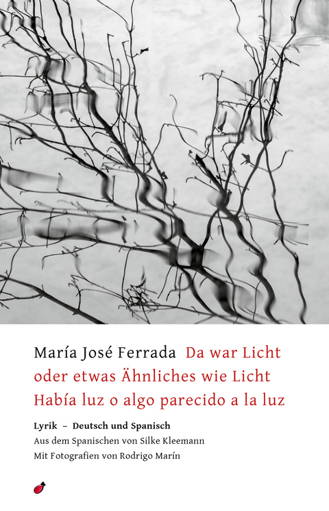 Da war Licht oder etwas &Auml;hnliches wie Licht / Hab&iacute;a luz o algo parecido a la luz - Mar&iacute;a Jos&eacute; Ferrada