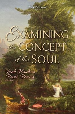 Examining the Concept of the Soul - 