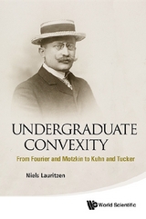 UNDERGRADUATE CONVEXITY - Niels Lauritzen
